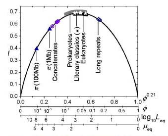 The_Order_curve_v1.jpg